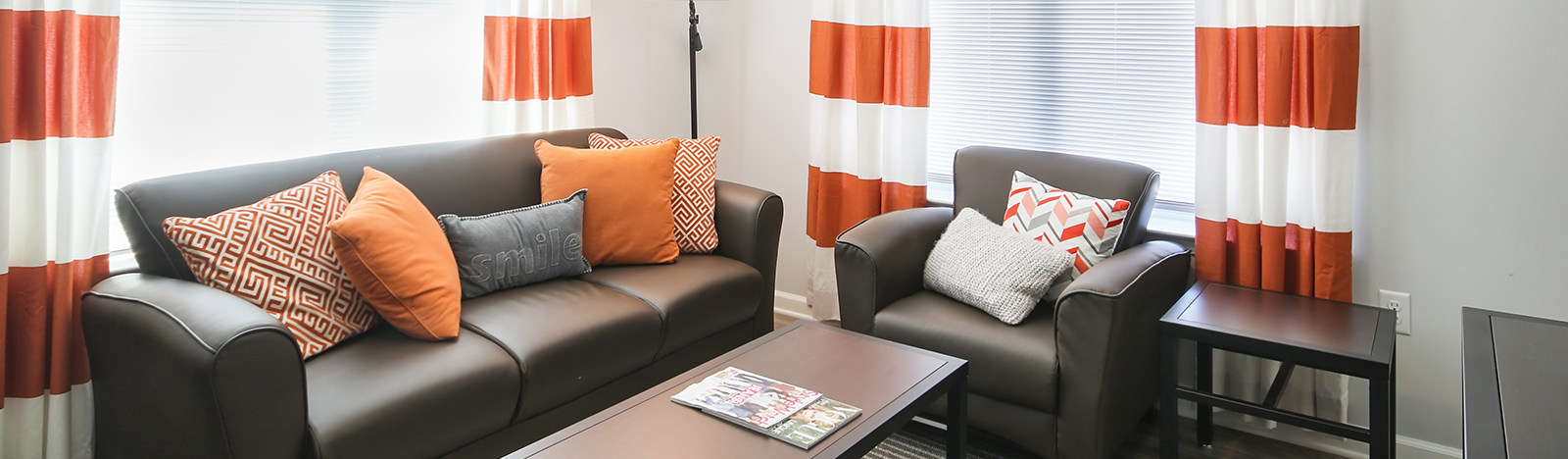 Furnished apartment living room