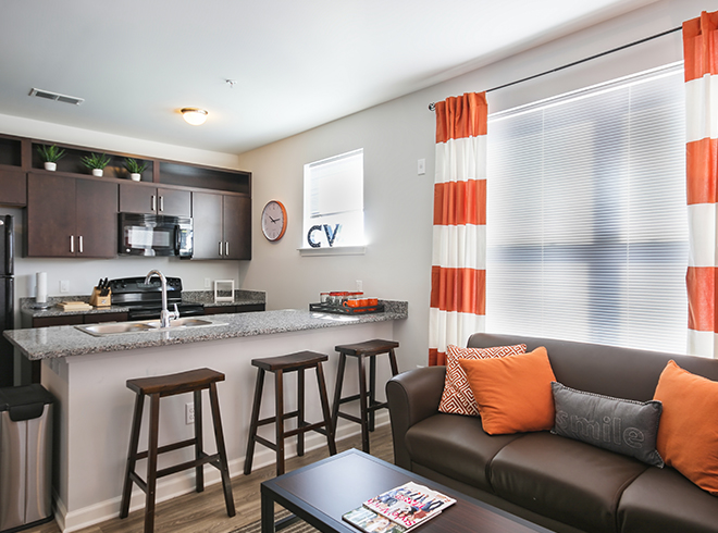 Furnished apartment living room and kitchen
