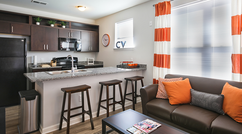 furnished apartment living space